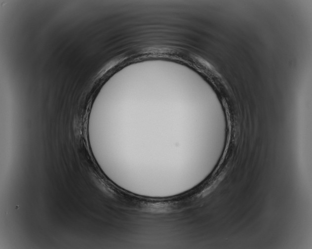 X0000083071017200703022152