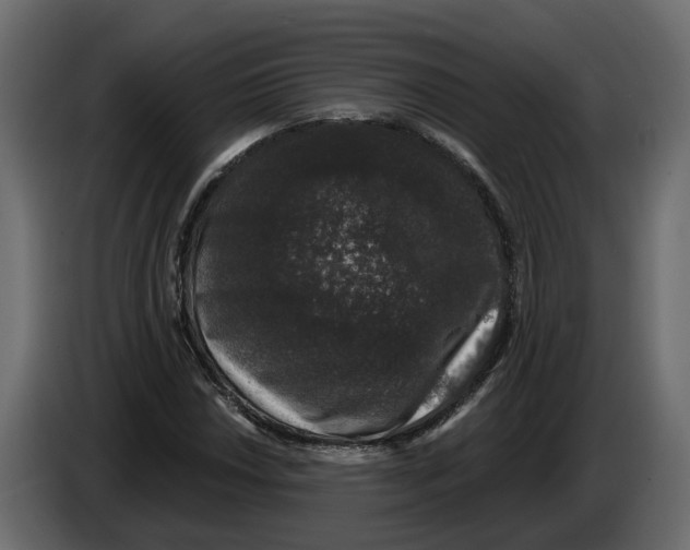 X0000083071018200703022152