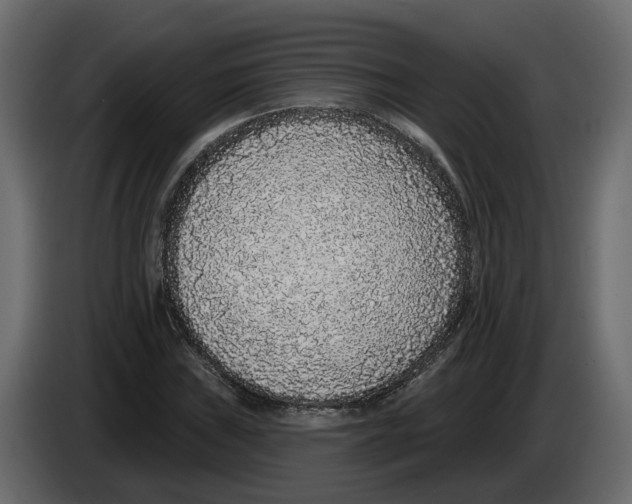 X0000083071019200703022152