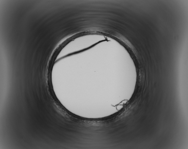 X0000083071020200703022152