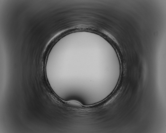 X0000083071021200703022152