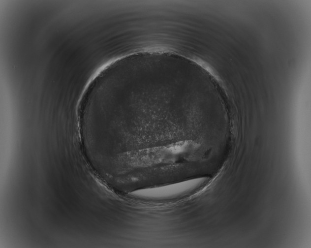 X0000083071022200703022152