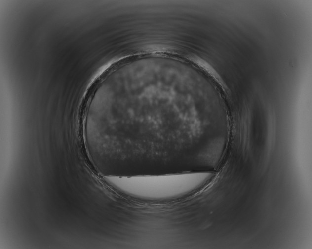 X0000083071023200703022152