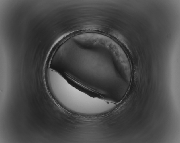 X0000083071024200703022152