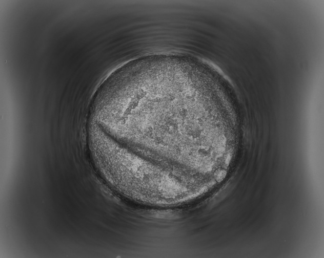 X0000083071025200703022152