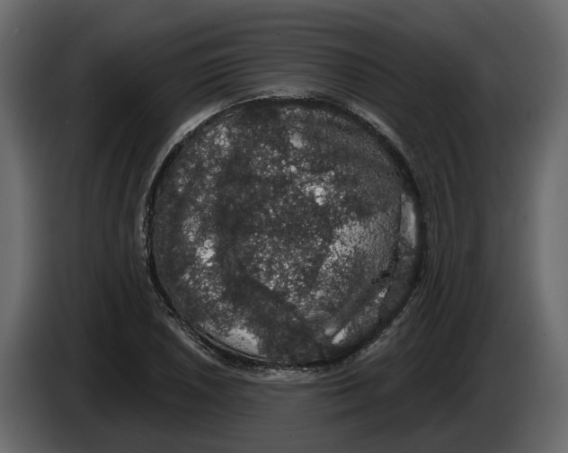 X0000083071026200703022152