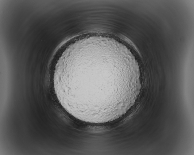 X0000083071027200703022152