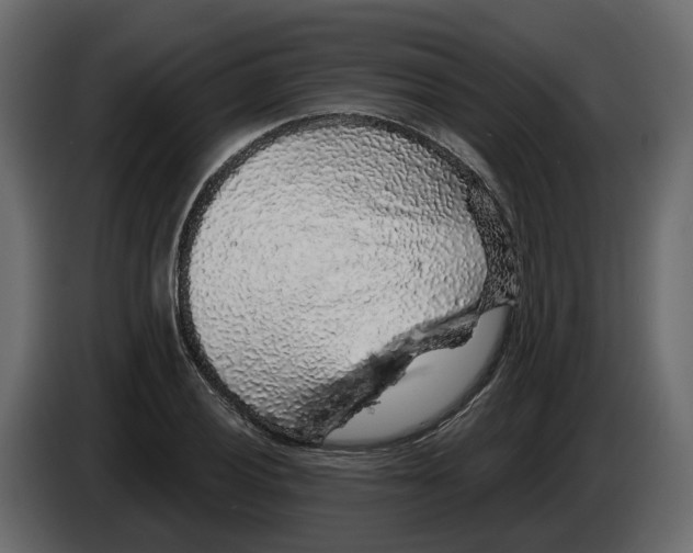 X0000083071028200703022152