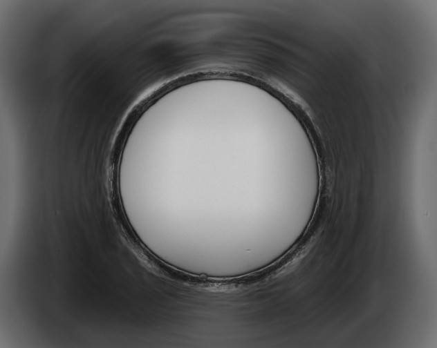 X0000083071029200703022152