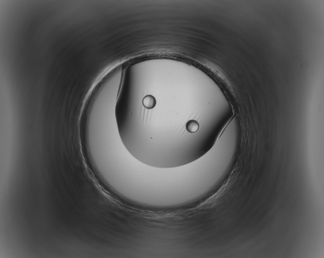 X0000083071030200703022152