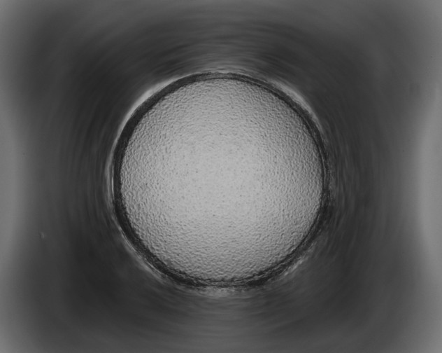 X0000083071032200703022152