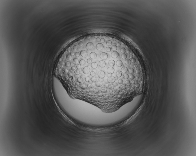 X0000083071033200703022152