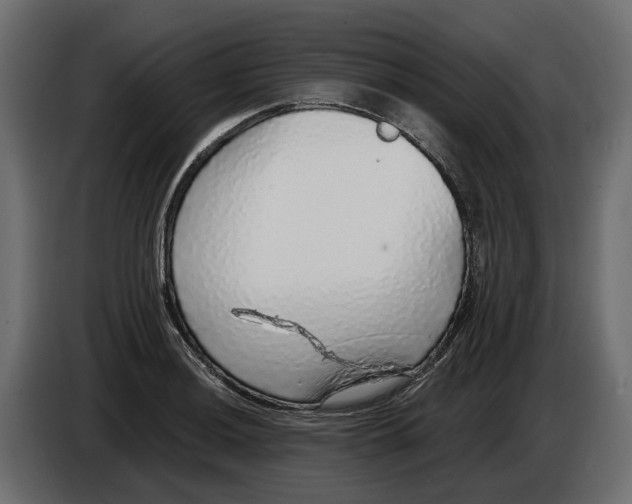 X0000083071036200703022152