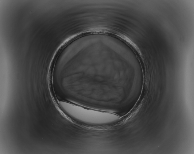 X0000083071037200703022152