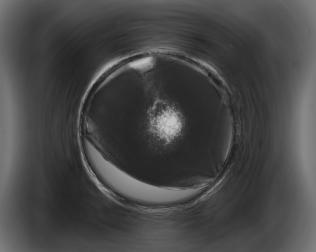 X0000083071038200703022152