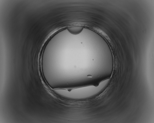 X0000083071039200703022152