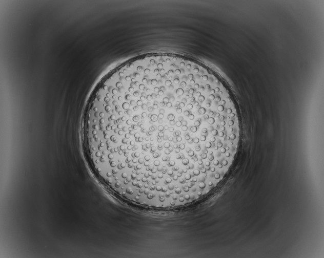 X0000083071040200703022152