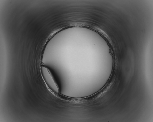 X0000083071041200703022152