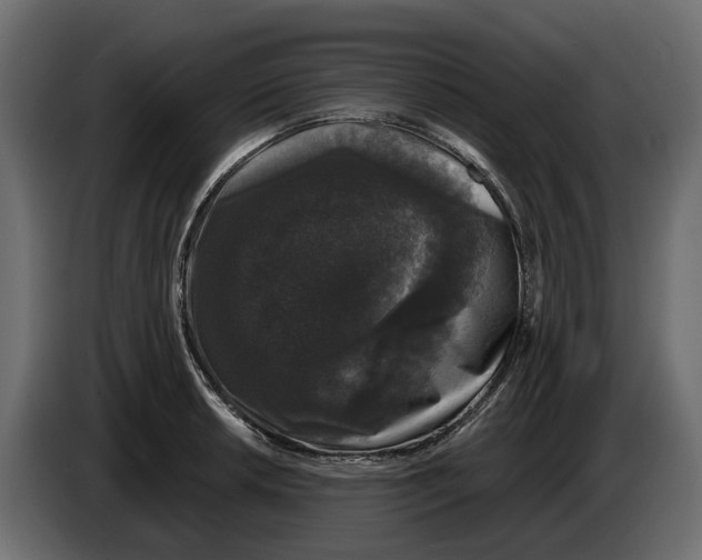 X0000083071042200703022152