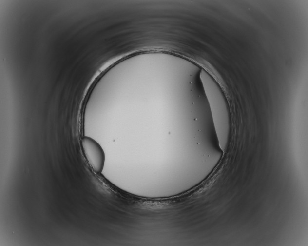 X0000083071044200703022152