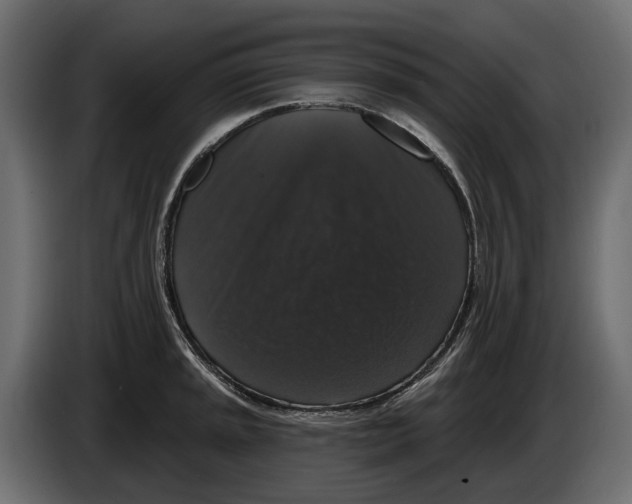 X0000083071045200703022152