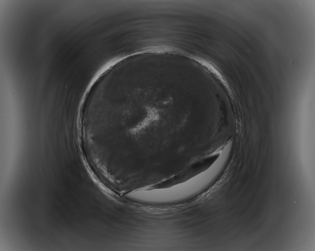 X0000083071046200703022152