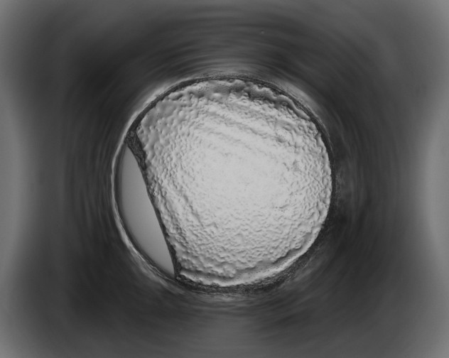 X0000083071047200703022152