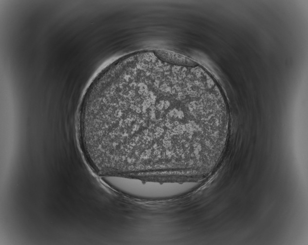 X0000083071048200703022152