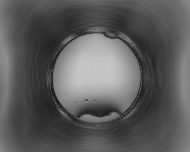 X0000083071049200703022152