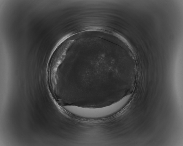 X0000083071050200703022152