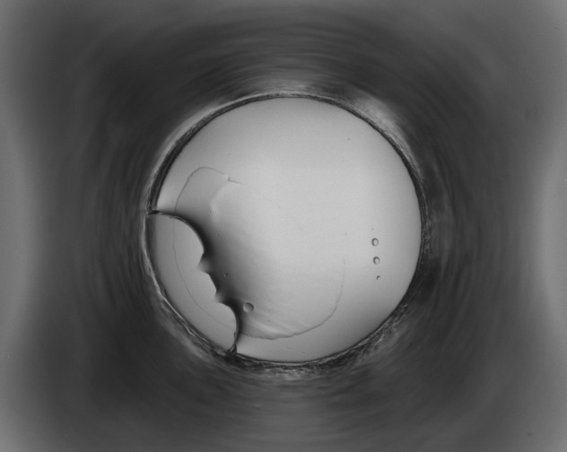 X0000083071051200703022152