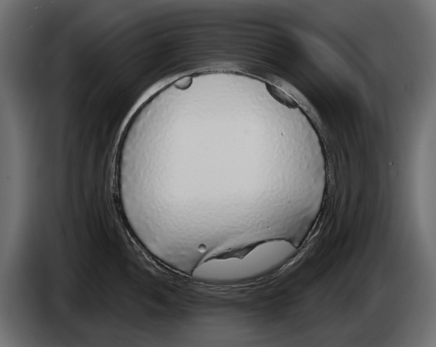 X0000083071052200703022152