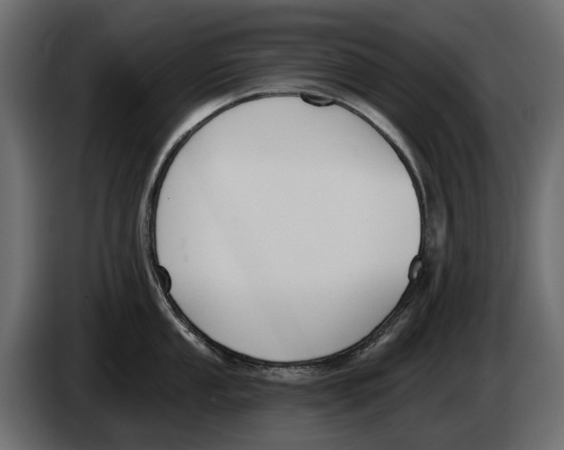 X0000083071053200703022152