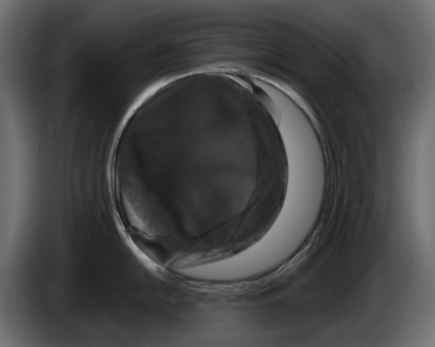 X0000083071054200703022152