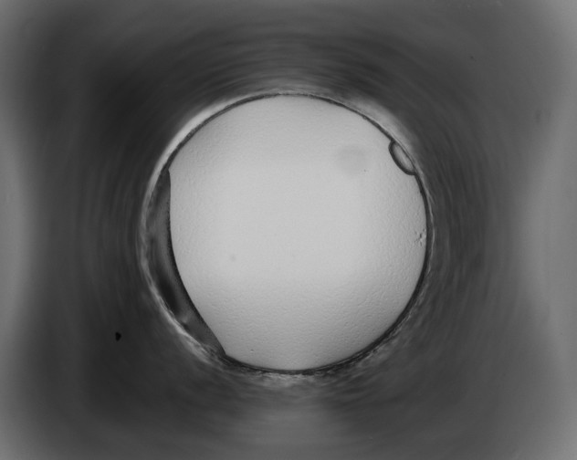 X0000083071056200703022152