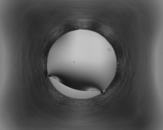 X0000083071058200703022151