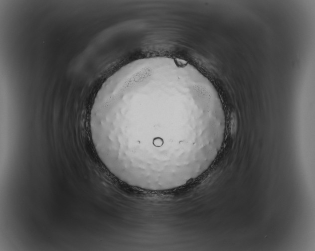 X0000083071059200703022151