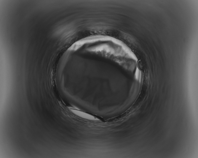 X0000083071060200703022151