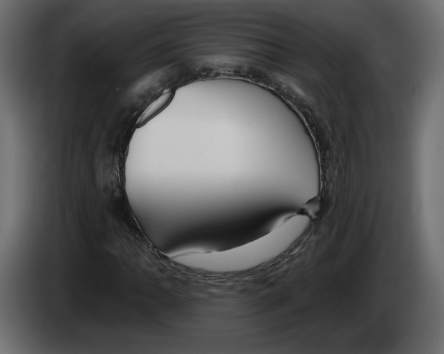 X0000083071062200703022151