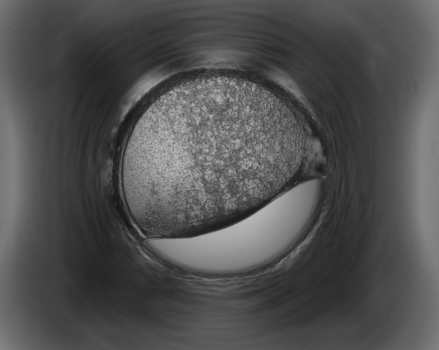 X0000083071066200703022151