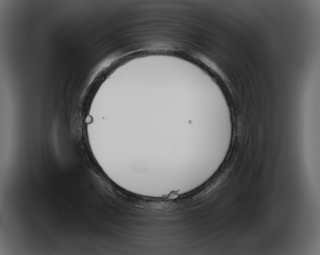 X0000083071067200703022151