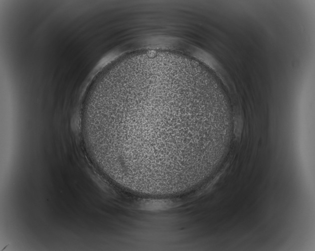 X0000083071074200703022151