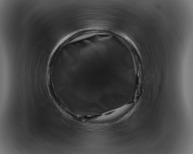 X0000083071077200703022151