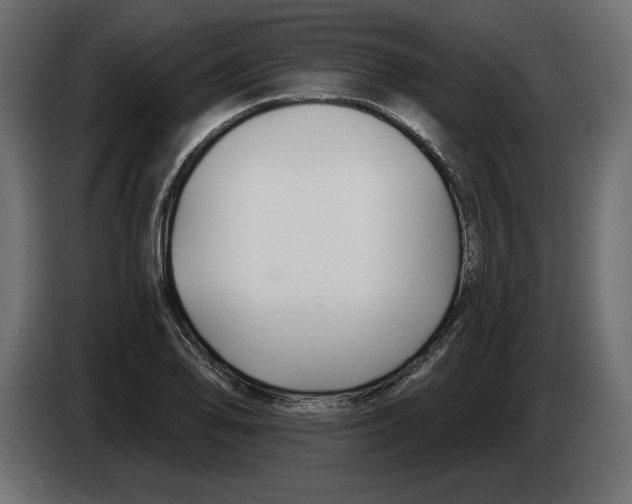 X0000083071078200703022151