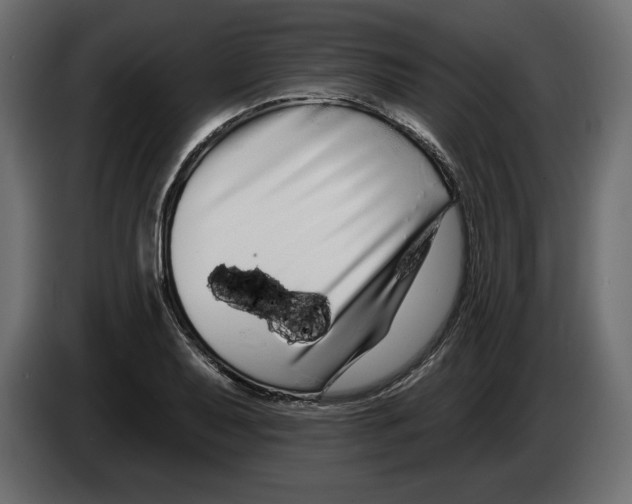 X0000083071079200703022151