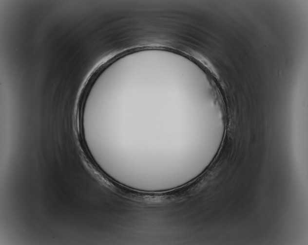 X0000083071080200703022151