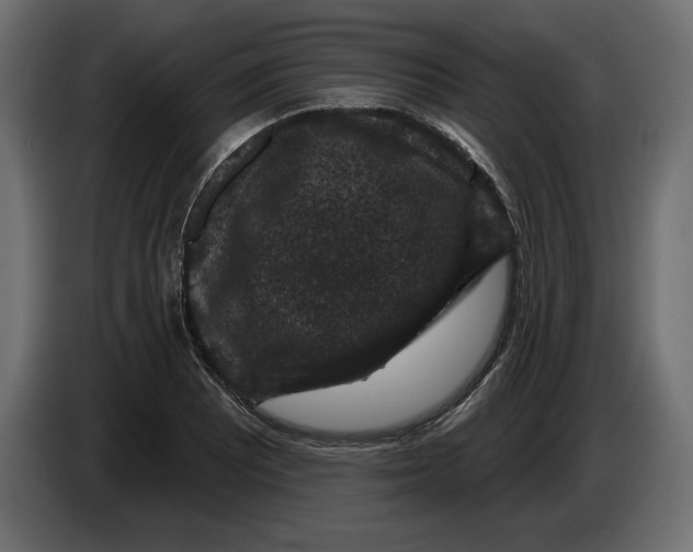 X0000083071081200703022151