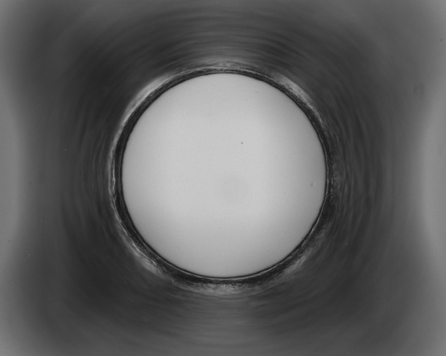 X0000083071082200703022151