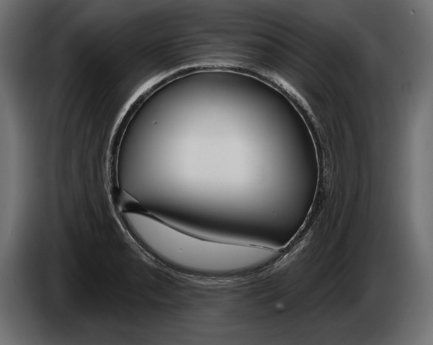 X0000083071085200703022151