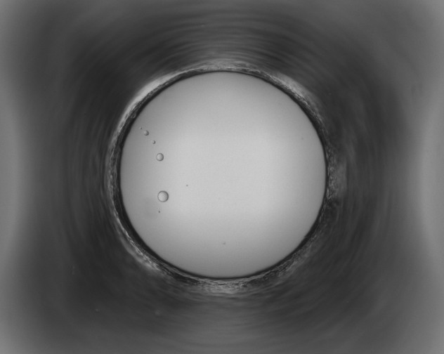 X0000083071086200703022151